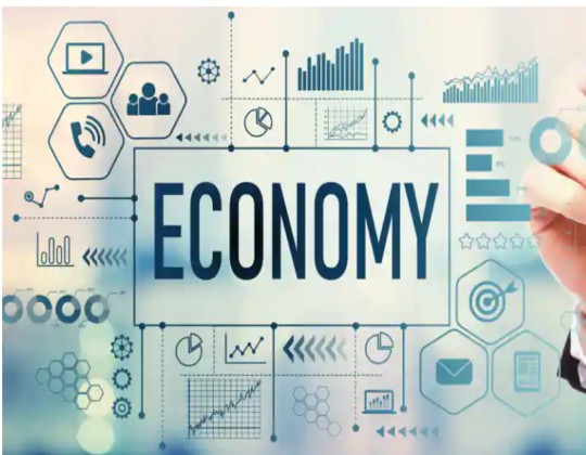اقتصاد دان کیست؟